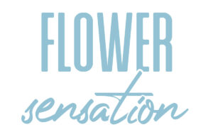 Flower Sensation